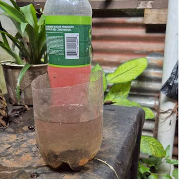 Given the risk of spread, health recommendations include the use of repellent, long-sleeved clothing, mosquito nets, and elimination of breeding sites. (Courtesy: Ministry of Health)