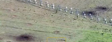 Ukraine Optical Illusion