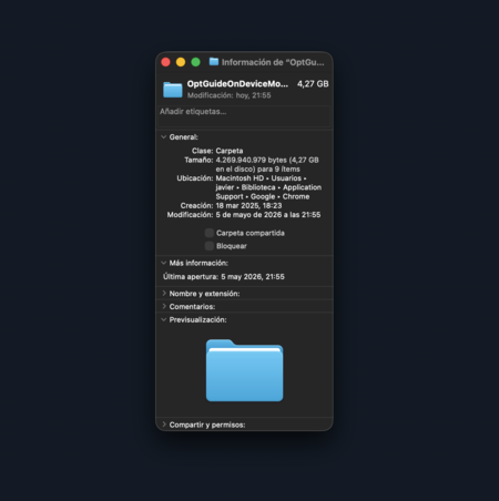 Google Chrome AI Model
