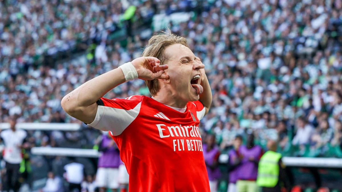 Benfica: Andreas Schjelderup, the Norwegian Gem Set to Transform the Summer Transfer Window!