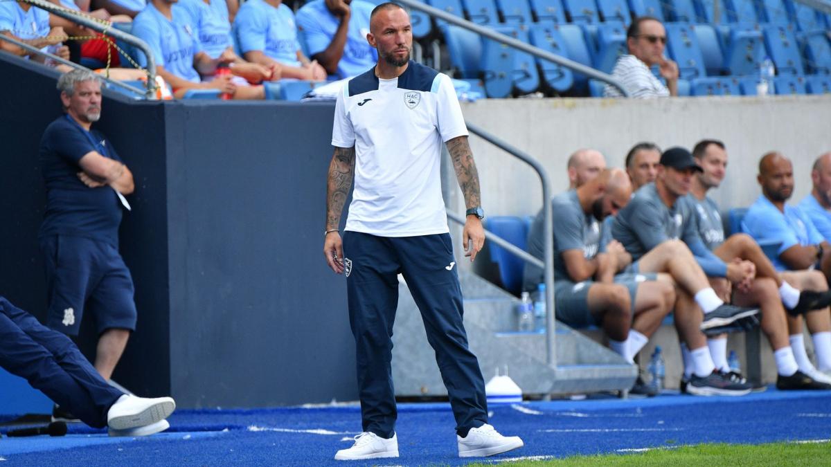 Le Havre: Didier Digard’s Extension