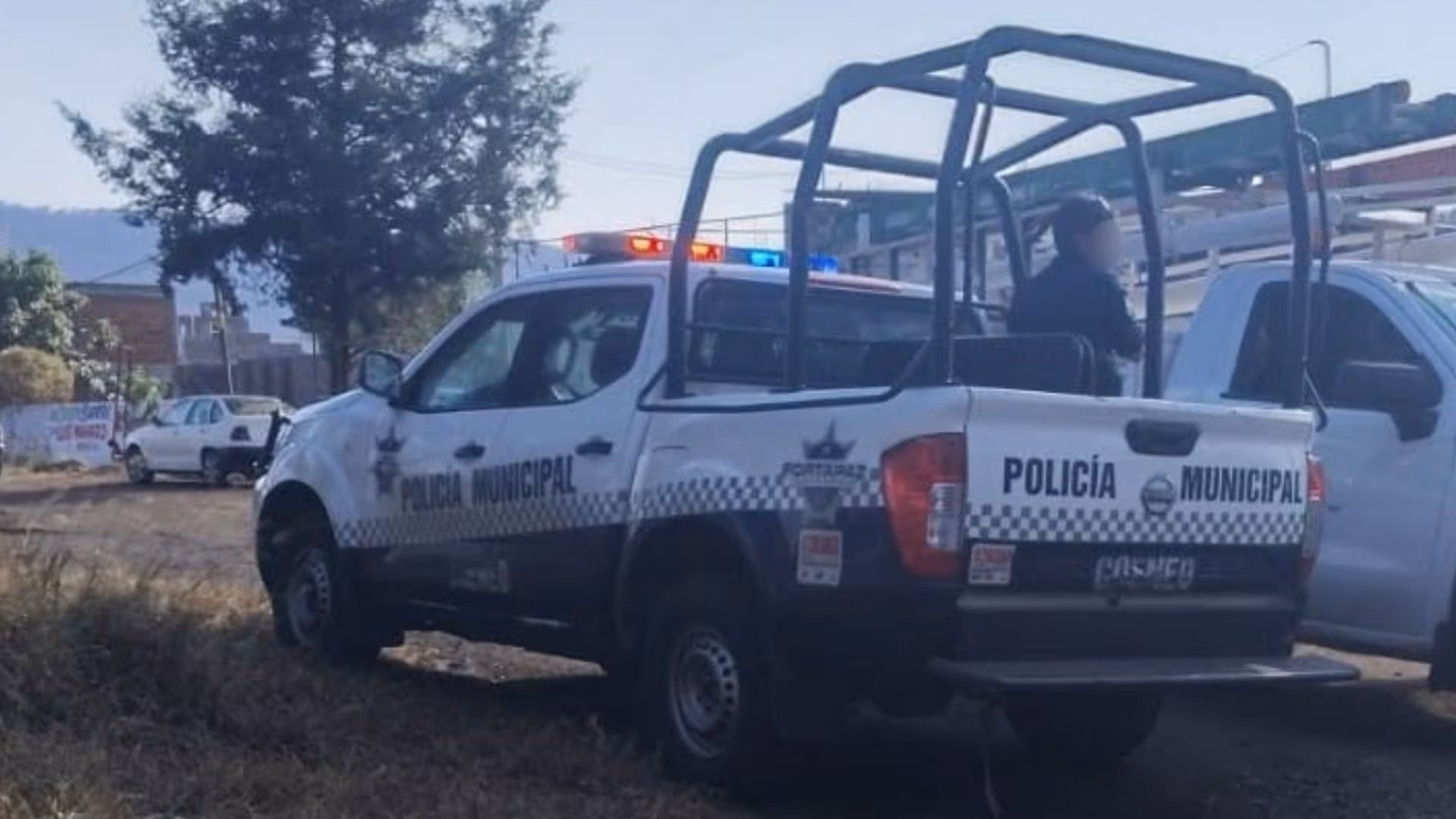 LIVE | Security, Drug Trafficking, and Crime in Mexico Today, June 13: Alleged Member of “Los Olmos Fragoso” Captured
