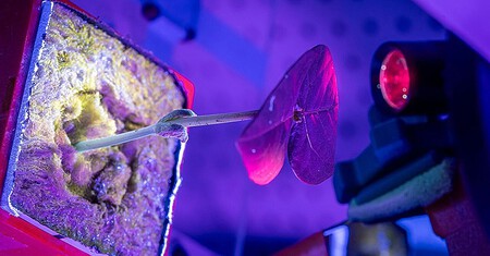Addressing a Major Logistical Challenge in Colonizing Mars: Medication Expiration