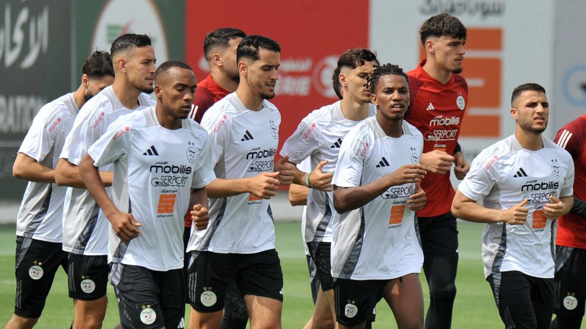 Algeria: The 5 Fennecs That Challenge Argentina