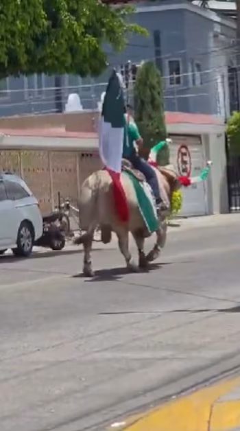 The Mexican National Team and network users reacted with humor to a scene that is already a digital phenomenon.