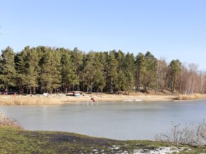 Ban on Swimming for Non-Speakers: Public Lake Manager’s Shocking Measure Sparks Outcry