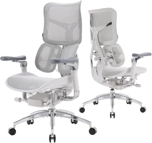 SIHOO Doro S300 Ergonomic Chair