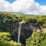 International Day of the Tropics: Honoring Mangroves, Water, and Endangered Species
