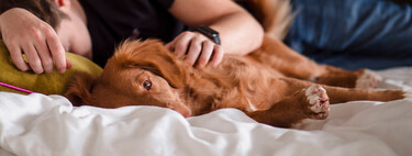 Sleep Benefits and Risks