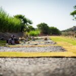As Pet Ownership Rises, Malaga Introduces Its First Public Cemetery for Dogs and Cats