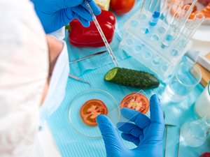 Banned for Over 30 Years: European Parliament Approves Controversial New Generation of “Non-Transgenic” GMOs