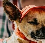 If You Take These Drugs, Heat Could Be More Dangerous Than You Realize