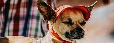 If You Take These Drugs, Heat Could Be More Dangerous Than You Realize