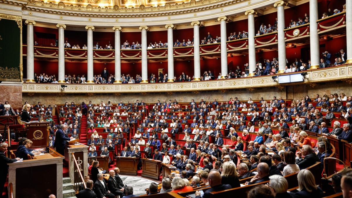 TV Rights: The National Assembly Discusses a Law to Revolutionize Ligue 1