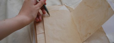 The great enigma of why left-handers have not disappeared