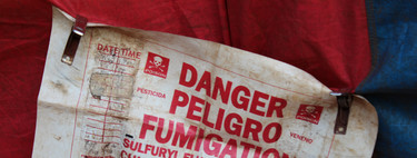 University of Córdoba Discovers Pesticide in Eggs of 14 Wild Bird Species, Banned Since the 70s