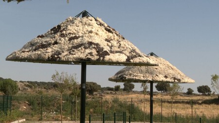 Wool on the Floor: Ávila Ranchers Find a Solution by Making Umbrellas