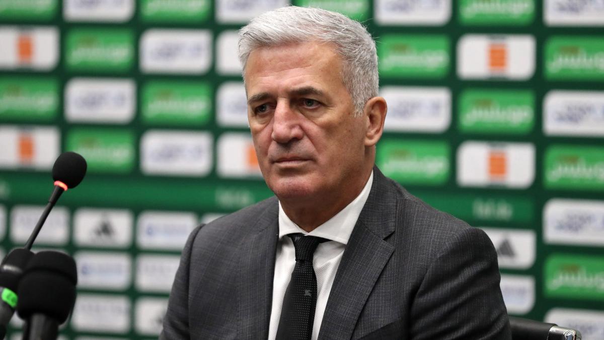 Vladimir Petkovic Demands a Fortune from Algeria to Agree to Leave!