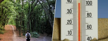 Don't make important decisions in a heat wave: high temperatures (and torrid nights) sabotage your brain