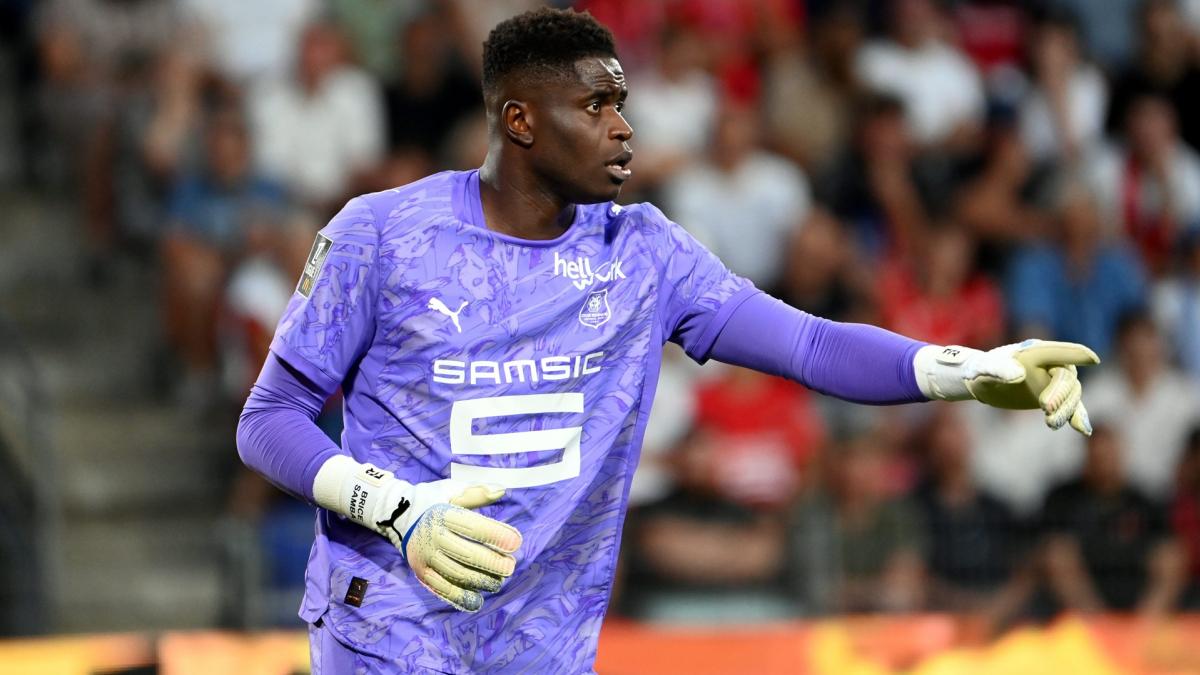 French Team: Brice Samba Withdraws Against England