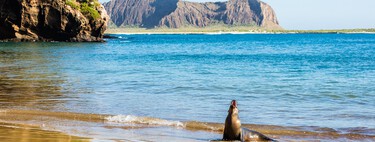 Galapagos as a natural sanctuary