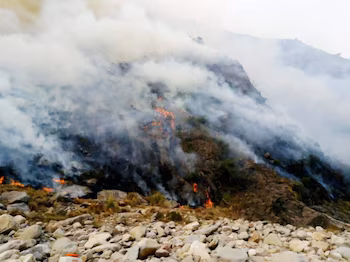 Fire in the San Luis Mountains: Efforts to Control the Blaze and Investigate Possible Arson