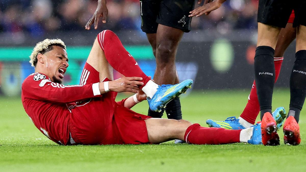 Liverpool: Iraola Provides Update on Ekitike