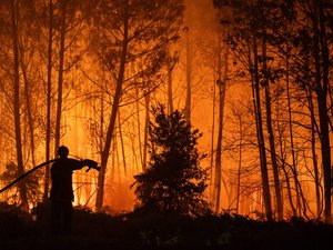 German Helicopters, Croatian Canadair, Romanian Firefighters: What European Aid Consists of to Combat Fires in France