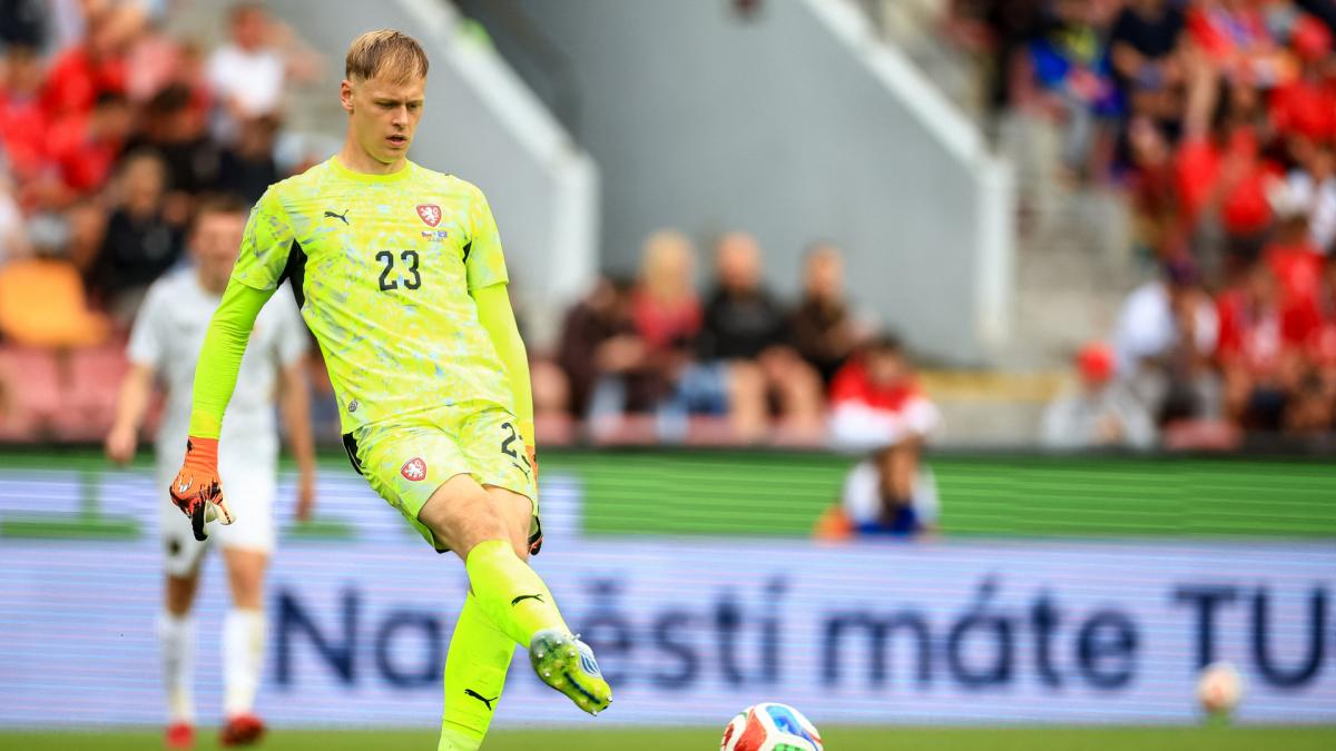 Newcastle Aims to Sign Goalkeeper for €30m