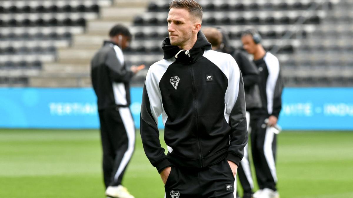Angers Officially Signs Branco van den Boomen