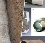 Fossilized Excrement Reveals a 4,000-Year-Old Forest in Asia’s Driest Desert