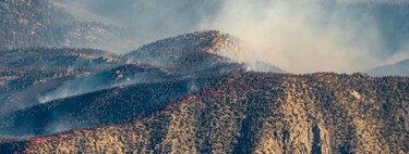 Spain Gains More Forests but Fewer Resources to Prevent Fires: Their Solution? Fire Donkeys