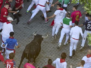 The End of the Pamplona Festivals: One Dead, About Fifty Injured, and Several Gored This Year