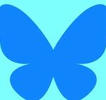 W Social: What It Is, How It Works, How to Verify Yourself, and the Options and Functions It Offers