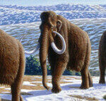 We Used to Think the Key to Killing a Mammoth Was Accurate Weaponry. Now We Realize We Were Completely Wrong.