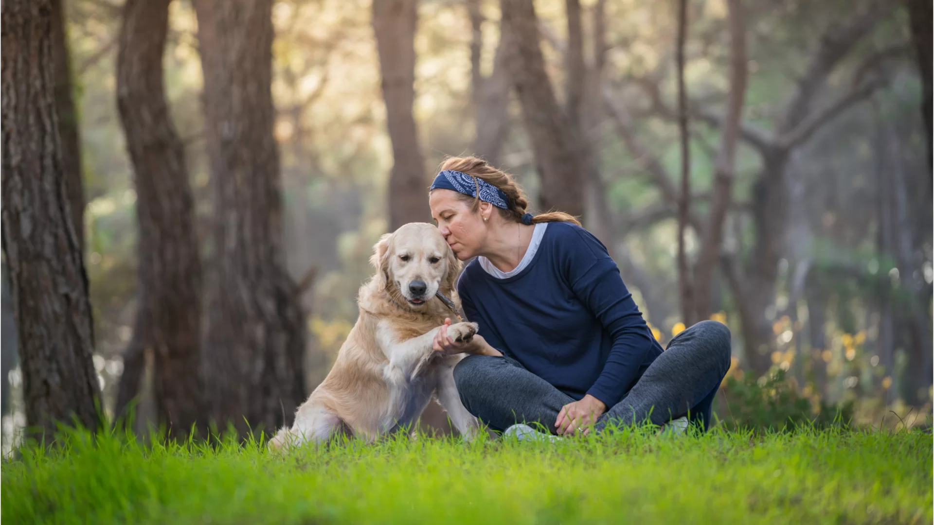 Calmantes naturales: aquí tienes las 10 razas de perros más cariñosas y empáticas