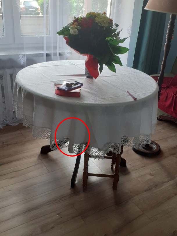 El gato estaba ubicado debajo de la mesa.