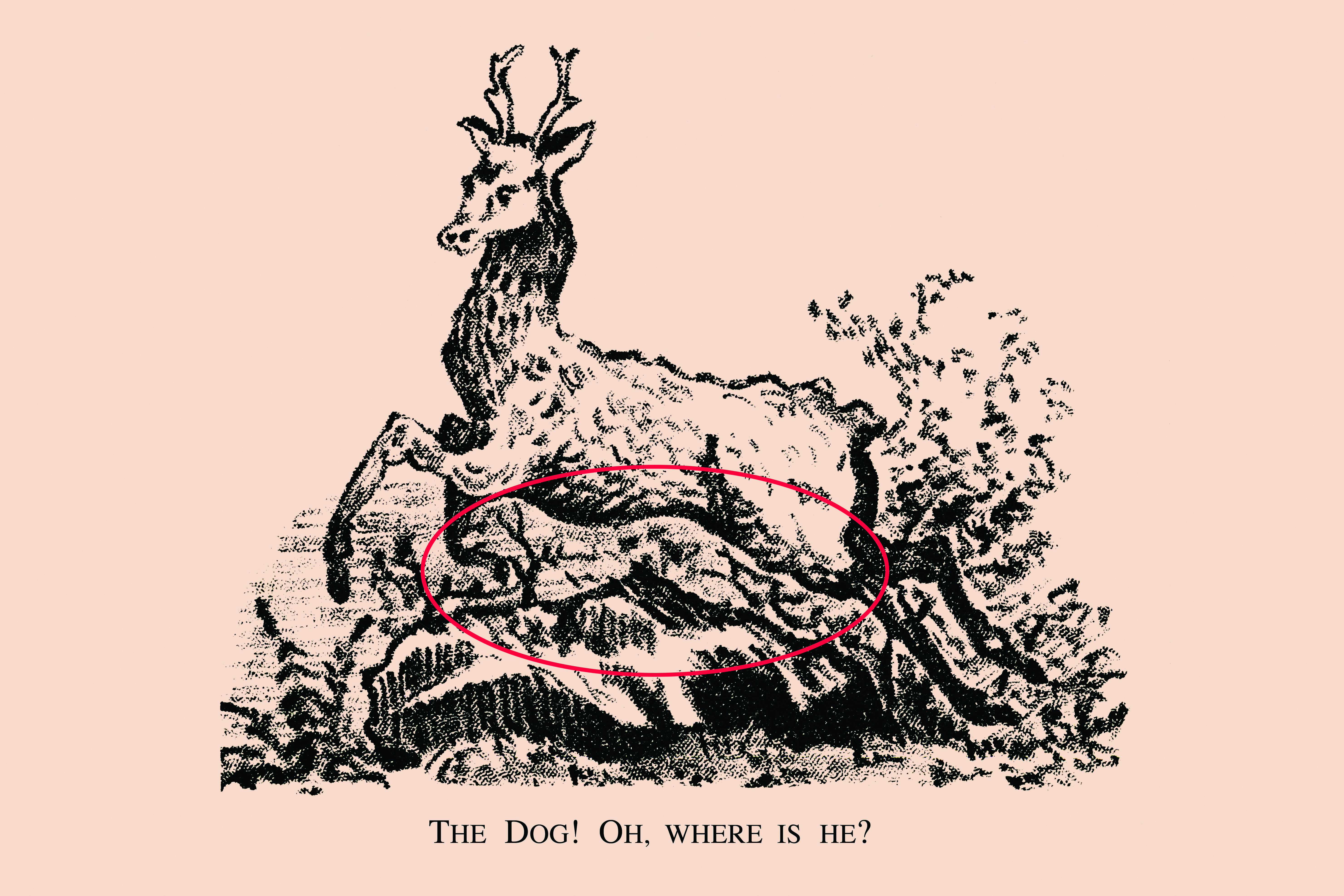 El perro está rodeado por debajo del ciervo.