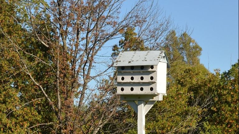 Una caja nido de gorrión (foto: Wikimedia Images_ vía Pixabay).