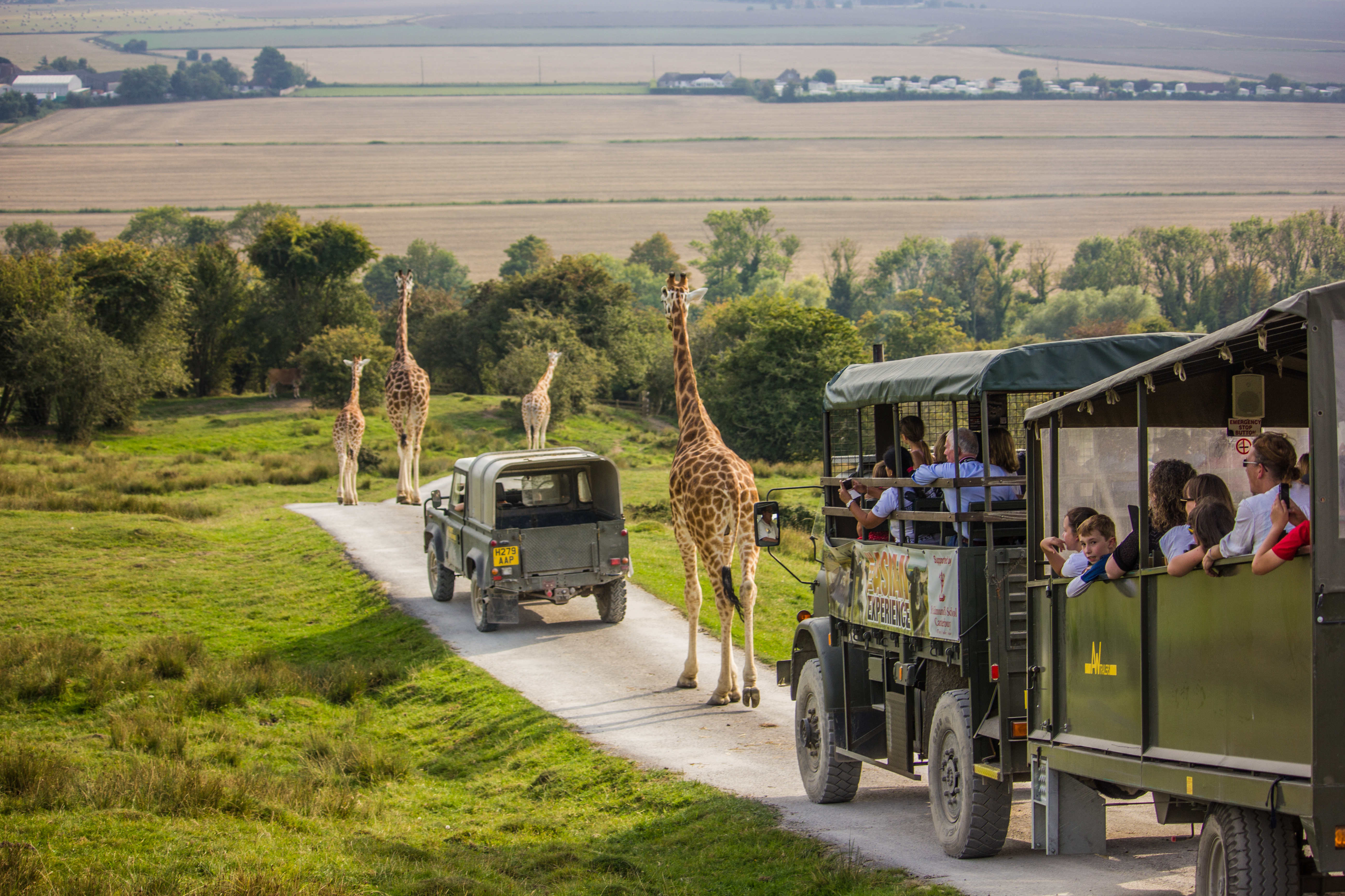Acérquese a jirafas, cebras y camellos en libertad con una estadía de dos noches en Port Lympne Hotel and Reserve en Kent
