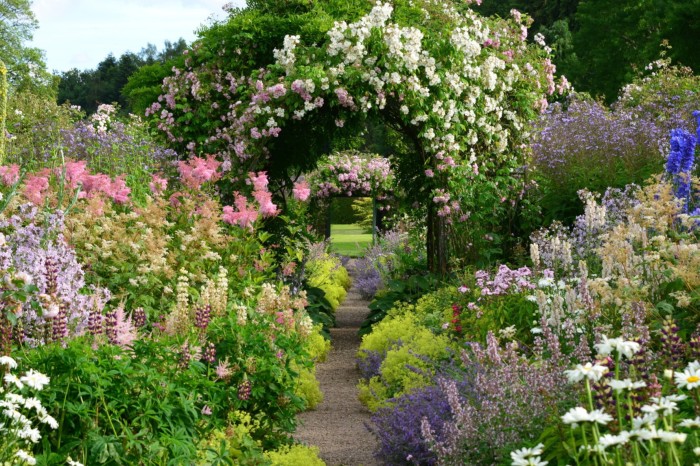 rosas de diferentes colores en un jardín
