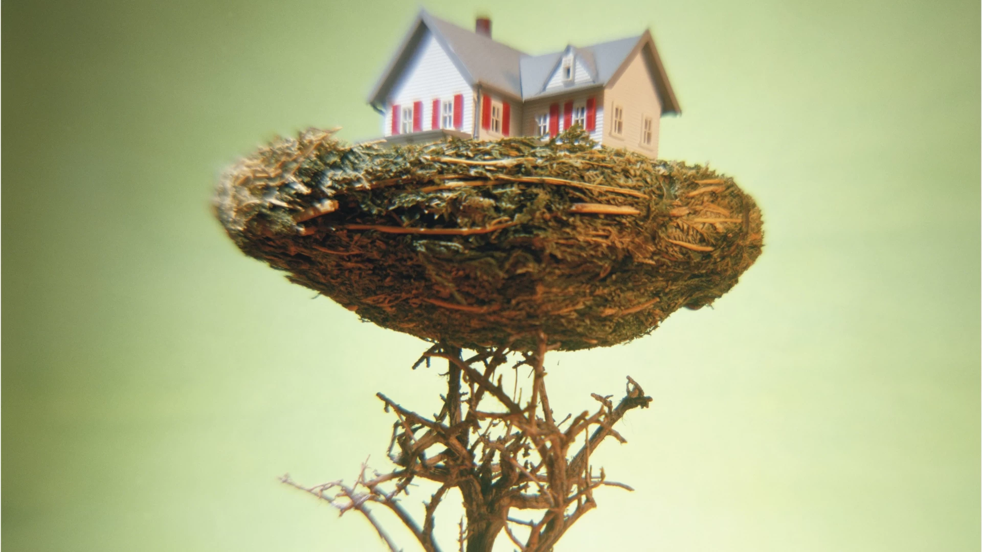 Nesting en casa: cómo transformar la casa en un nido