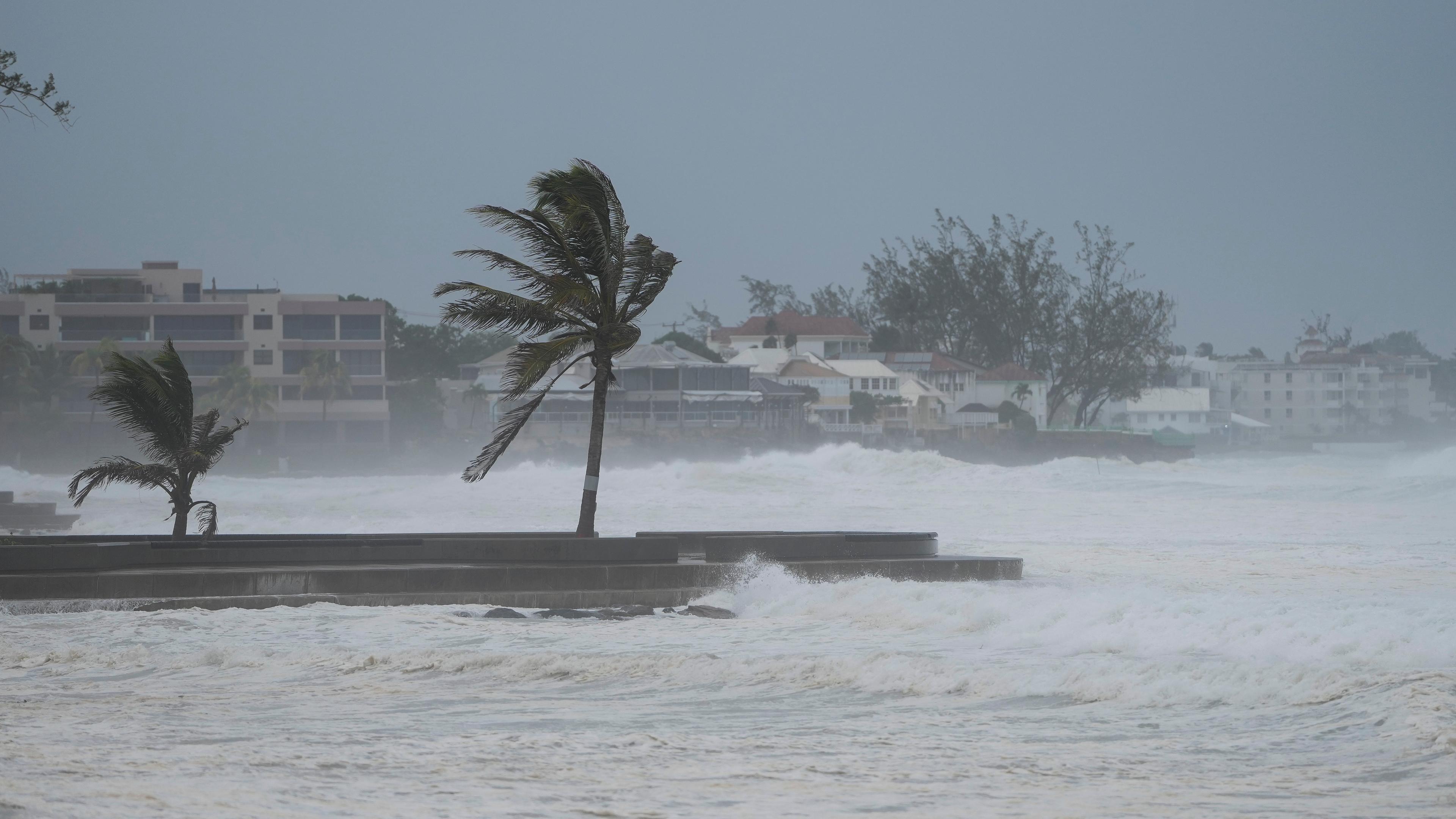 Mar tormentoso, palmeras en el viento.