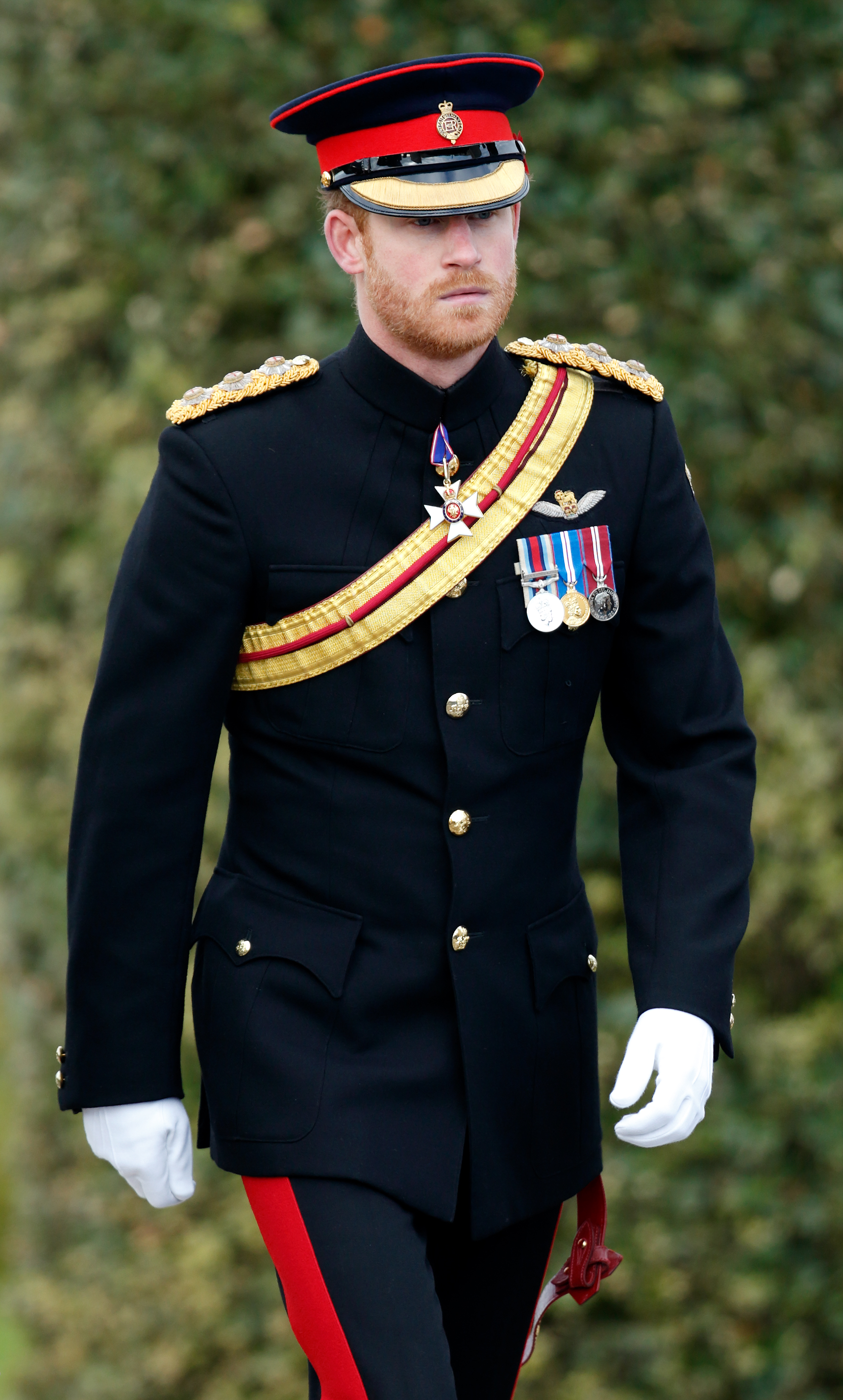 El ex líder de la Marina Real Lord West instó al duque, de 39 años, a rechazar el premio.