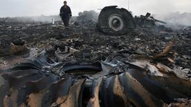 Archivo: Escombros del MH17 el 17 de julio de 2014