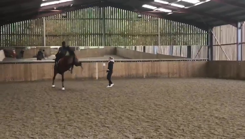 La atleta olímpica del equipo británico está 'profundamente avergonzada' por un video que la muestra azotando a un caballo