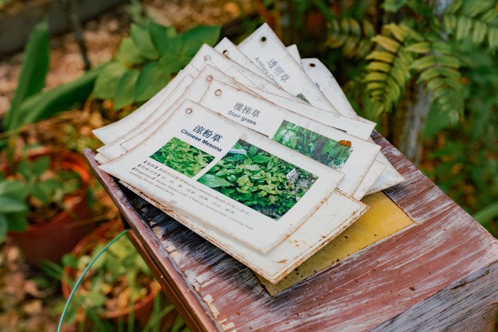 Primer plano de una pila de tarjetas laminadas que muestran información sobre diferentes plantas, incluidas imágenes y descripciones de texto. La tarjeta superior muestra 