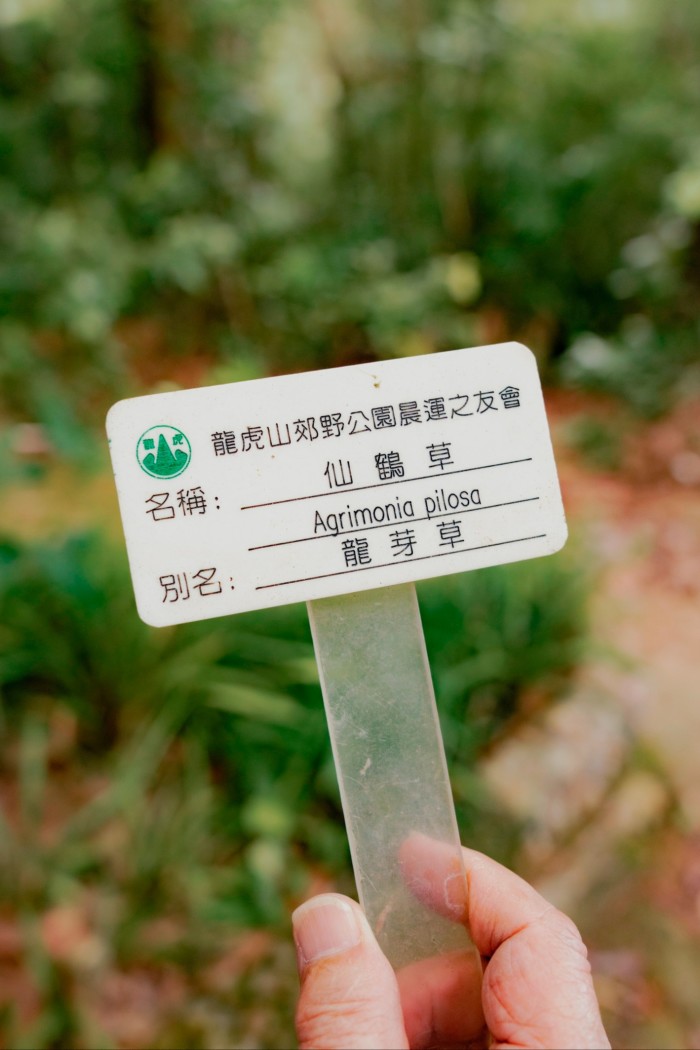 Una mano sosteniendo una pequeña tarjeta con el nombre de una hierba.