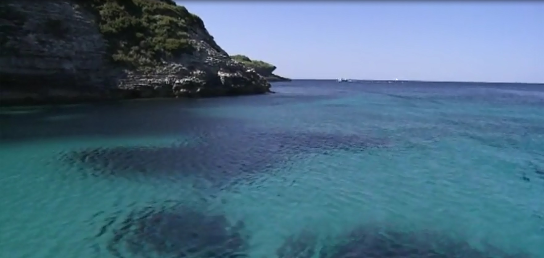 Mediterráneo, campaña de sensibilización de WWF y Marina