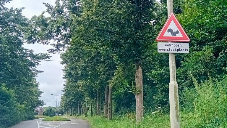 La señal de tráfico en Willem Dreesweg en Roosendaal 